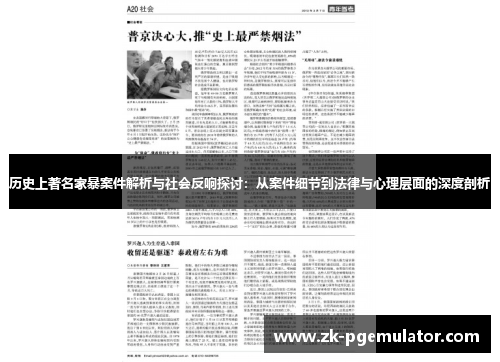历史上著名家暴案件解析与社会反响探讨：从案件细节到法律与心理层面的深度剖析