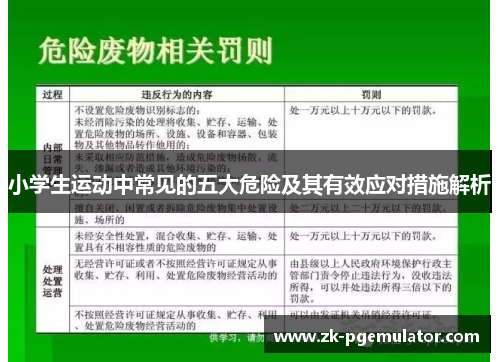 小学生运动中常见的五大危险及其有效应对措施解析