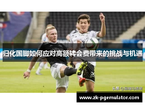 归化国脚如何应对高额转会费带来的挑战与机遇